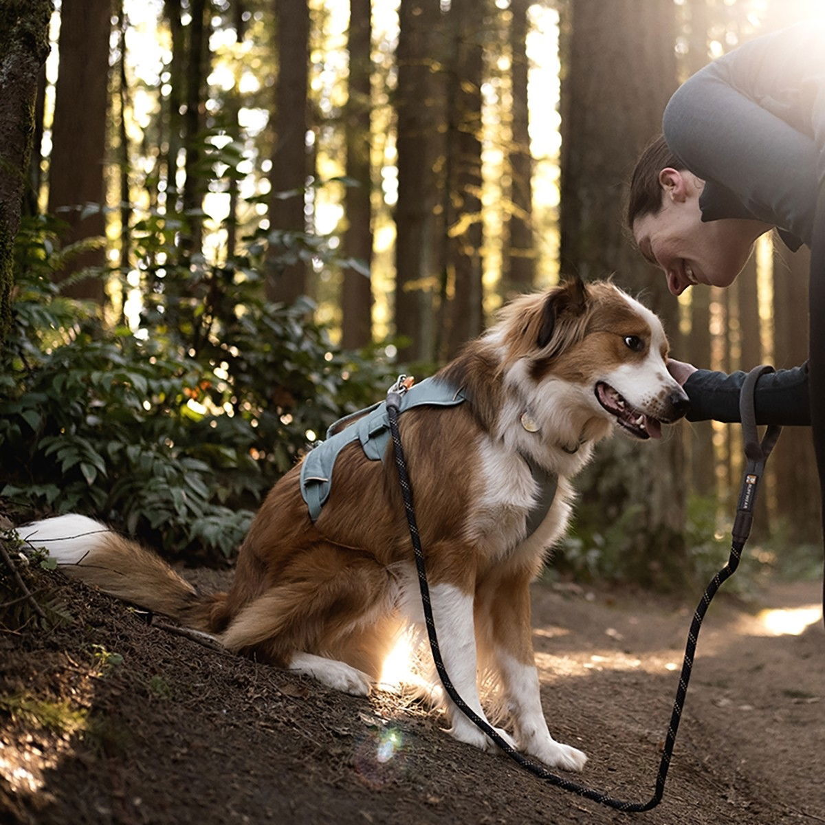 Ruffwear Web Master harness, River Rock Green