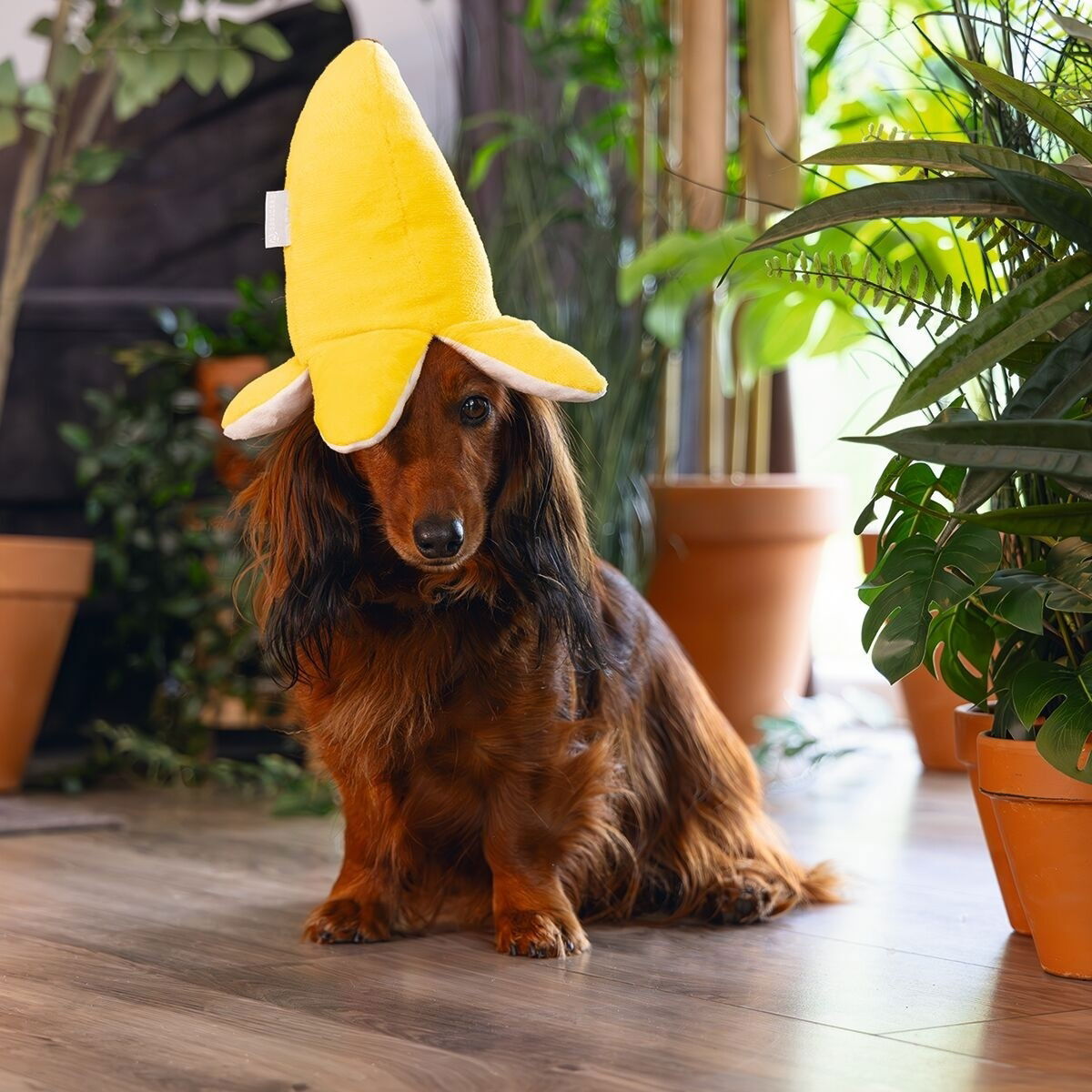 Beeztees Jungle Monkey Banana Bibi