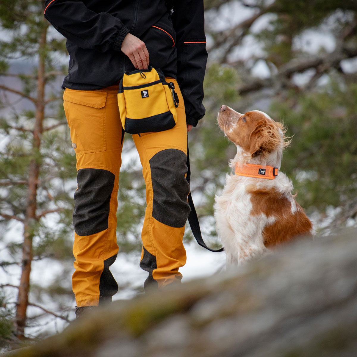 Feel Active Treat bag Canvas yellow