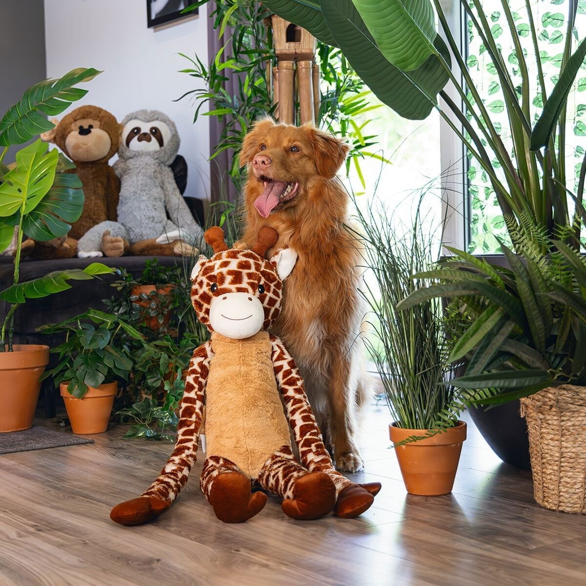 Beeztees Jungle Giraffe