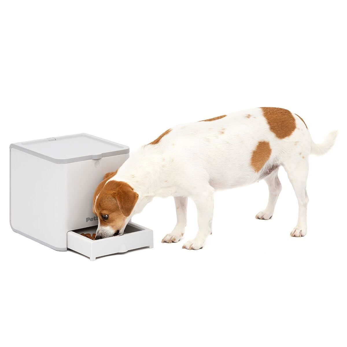 PetSafe® Teach & Treat Reward Trainer