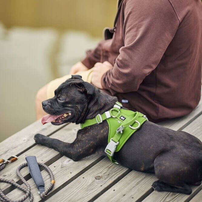 Hurtta Weekend Warrior Harness II ECO parsley
