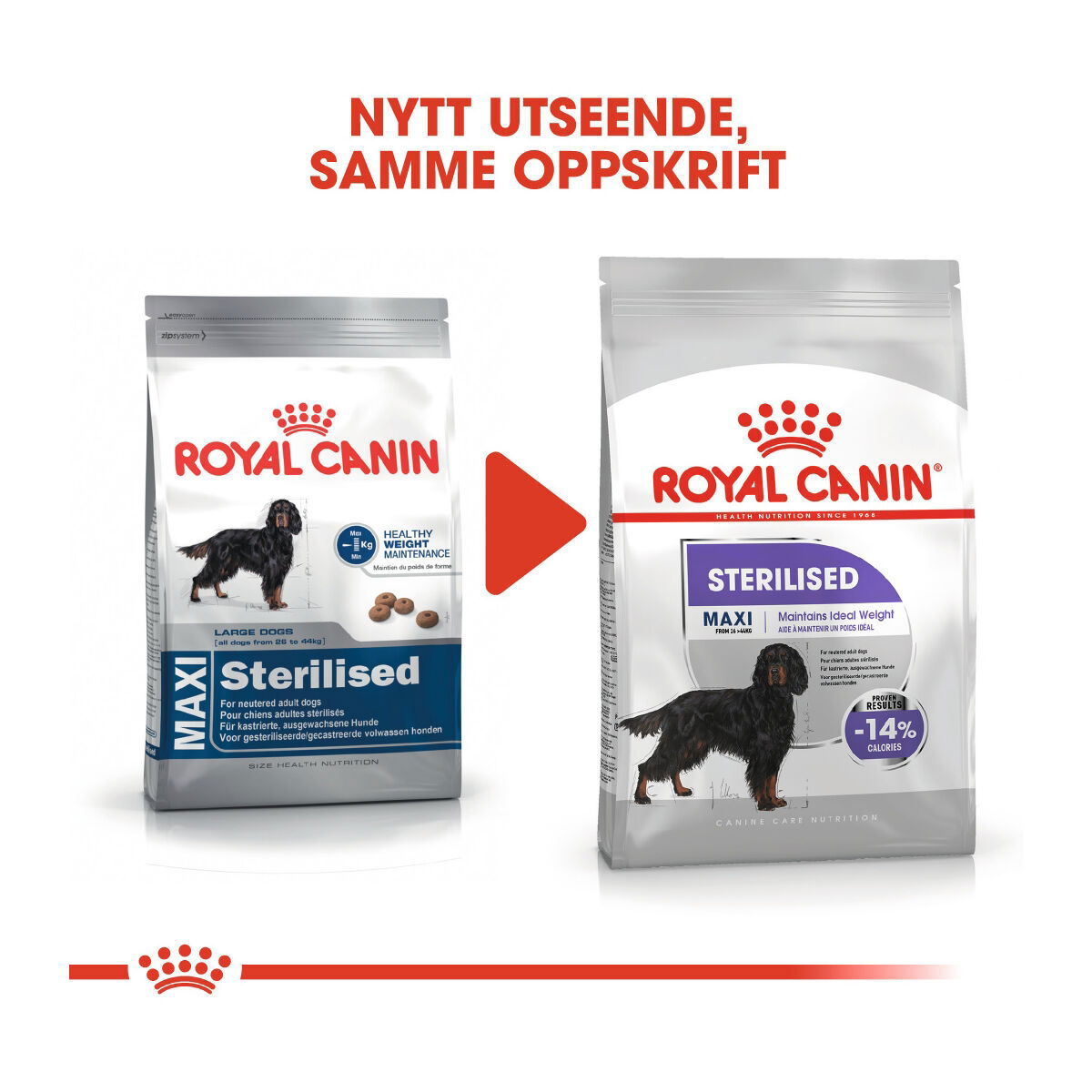 Royal Canin Sterilised Maxi Adult tørrfôr til hund