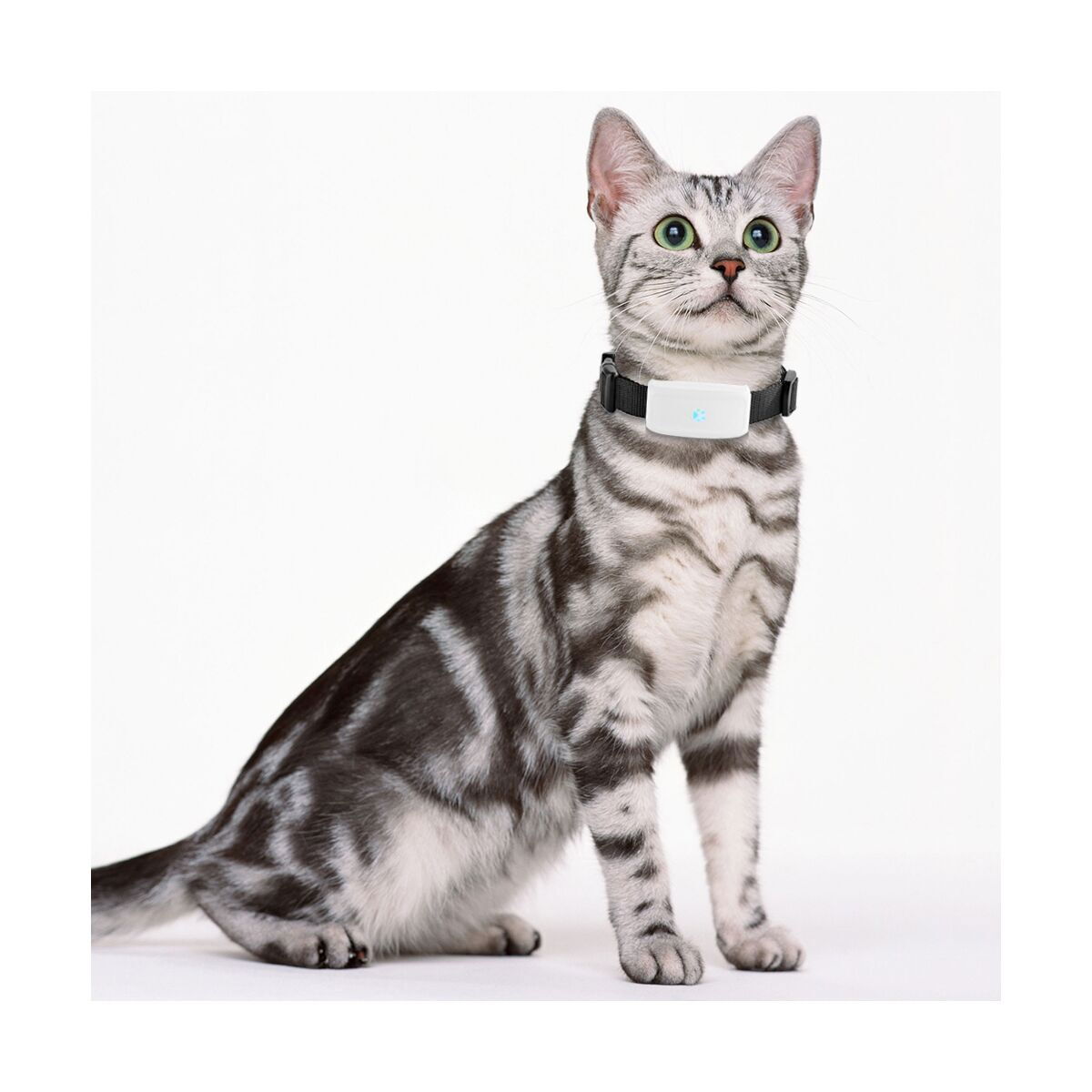 TK-911 Mini GPS-spårare