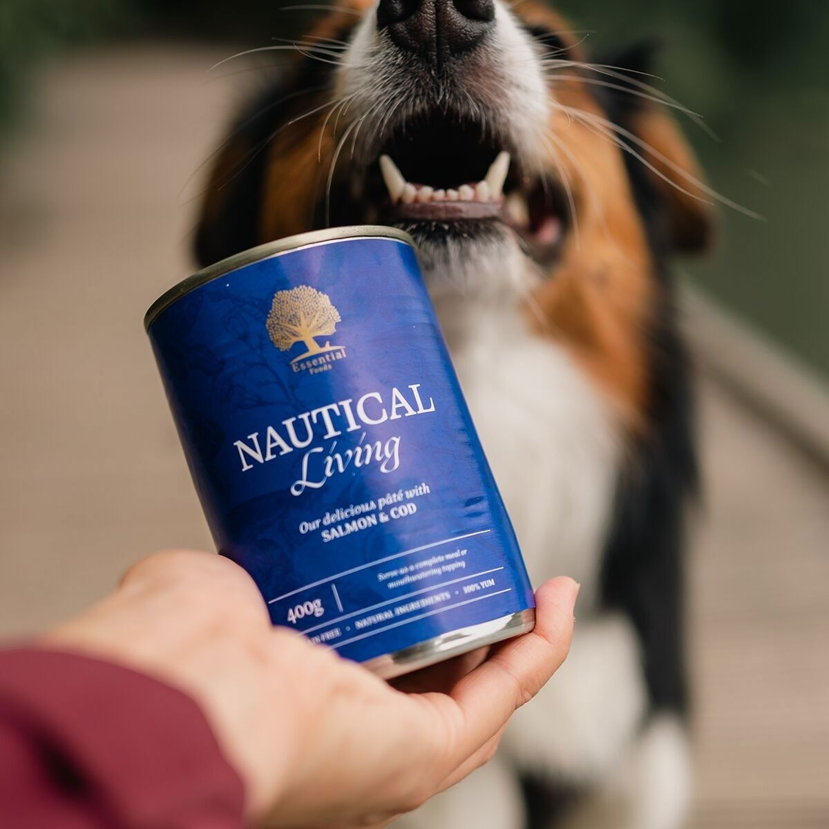 ESSENTIAL NAUTICAL LIVING PATÉ 400g