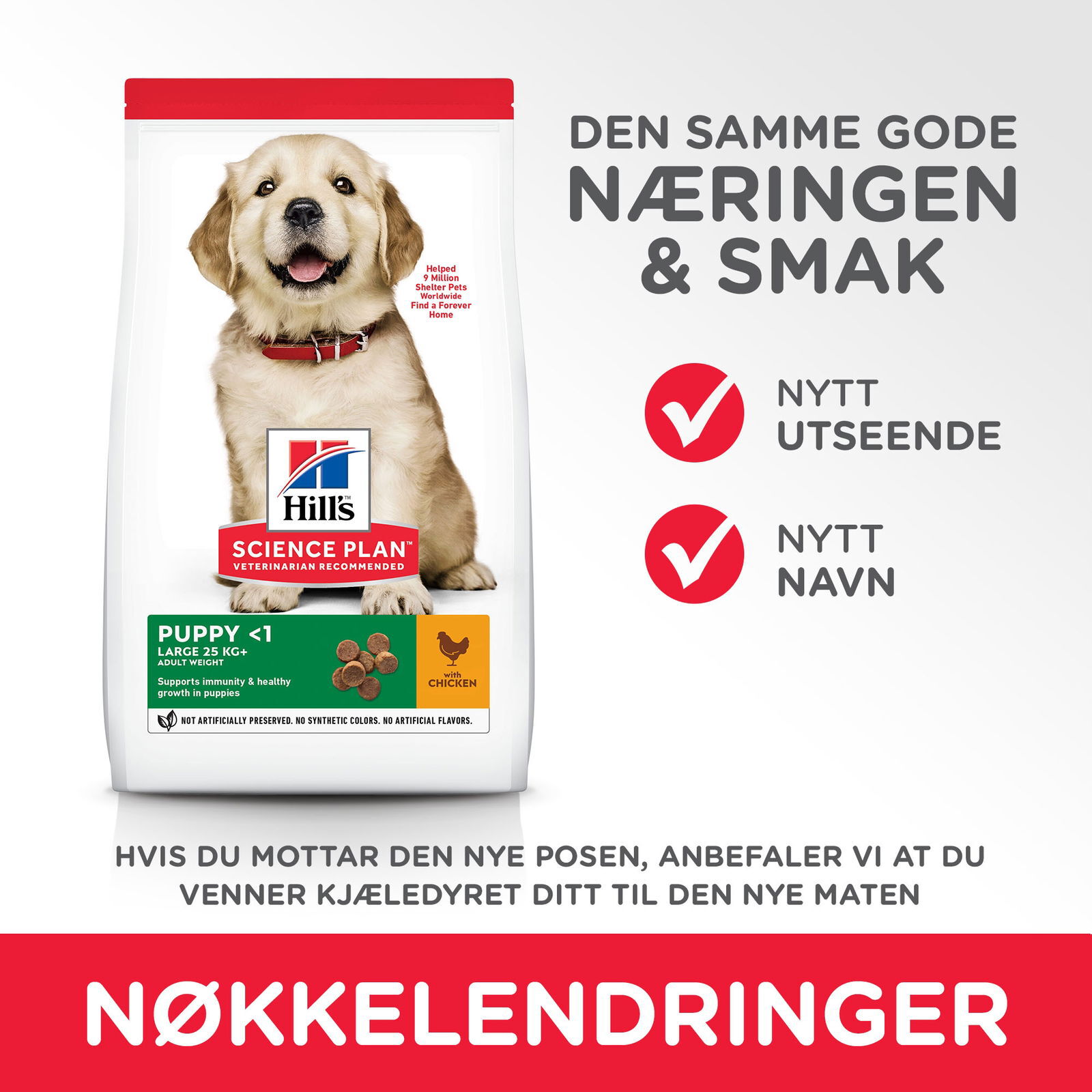 Hill's Science Plan Dog Puppy Large Breed