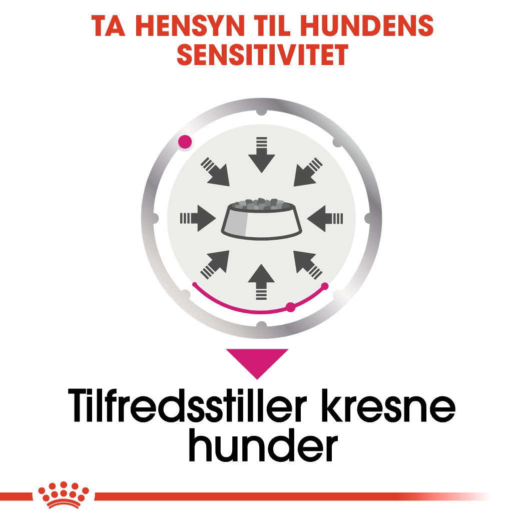 Royal Canin Exigent Adult våtfôr til hund