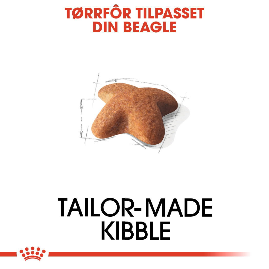 Royal Canin Beagle Adult tørrfôr til hund