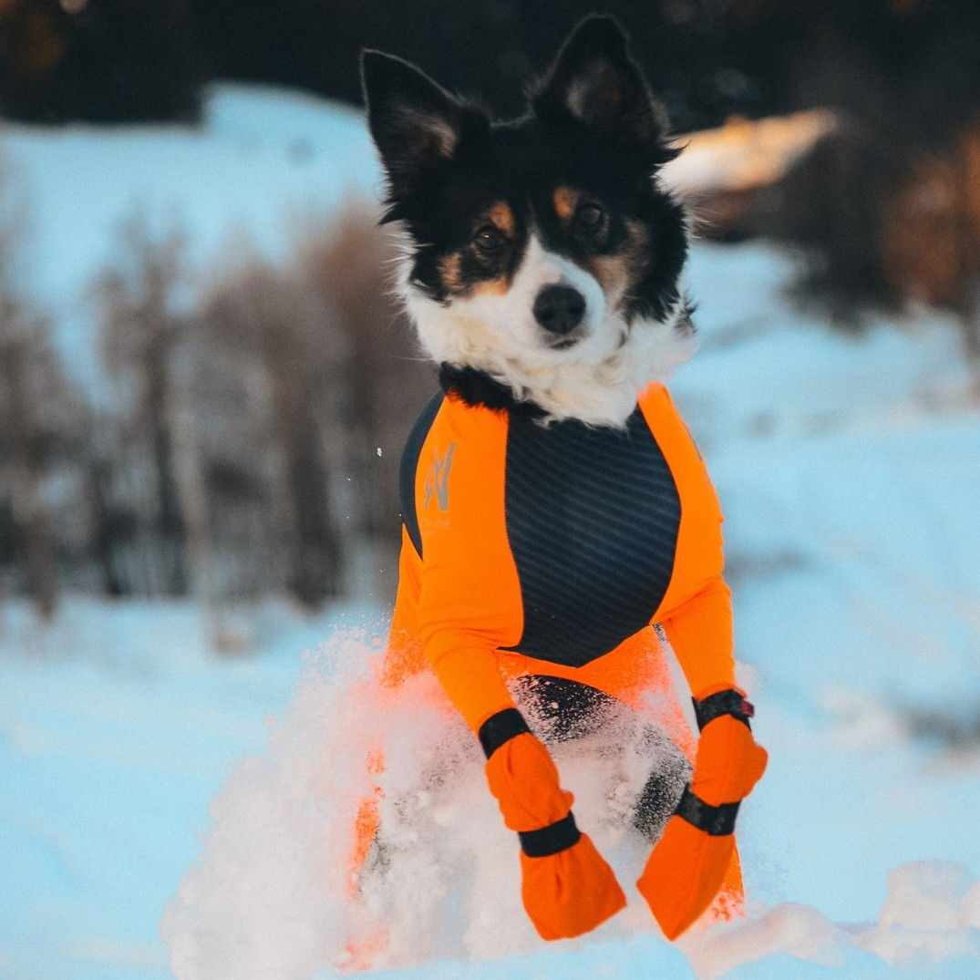 Non-Stop Contact bootie high 4-pack