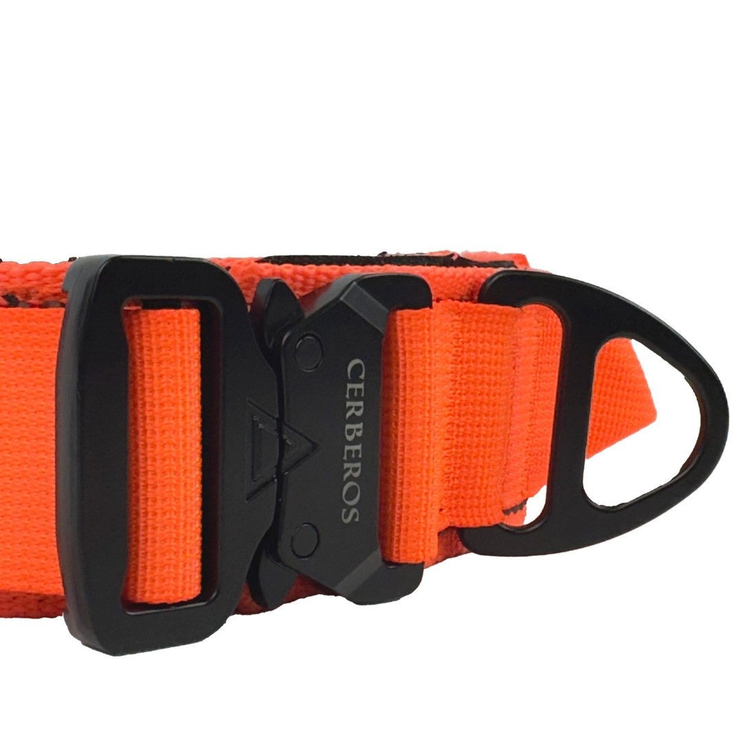 Cerberos Dog Collar Orange