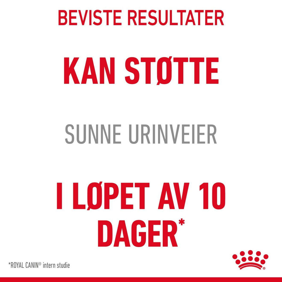 Royal Canin Urinary Care Adult tørrfôr til katt