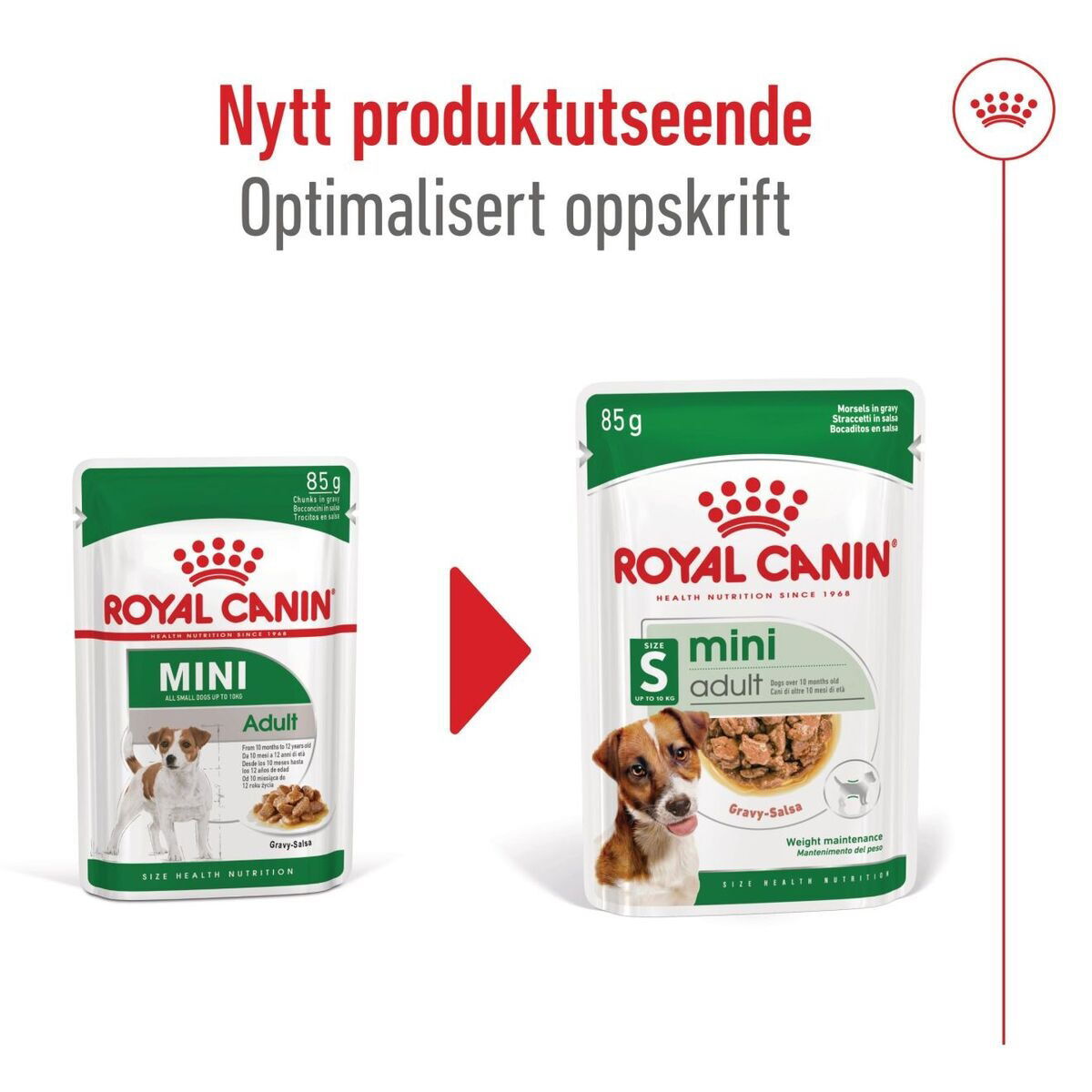 Royal Canin Mini Adult Gravy våtfôr til hund