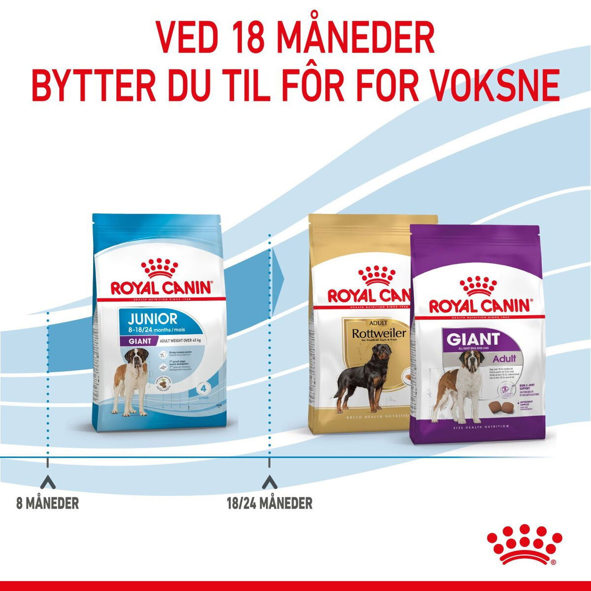 Royal Canin Giant Junior tørrfôr til valp