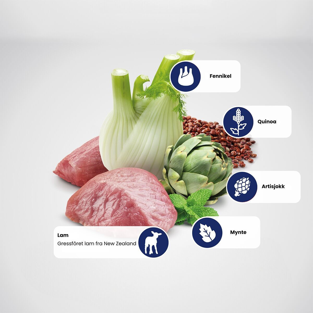 N&D Quinoa Cat Digestion Lamb 1,5kg