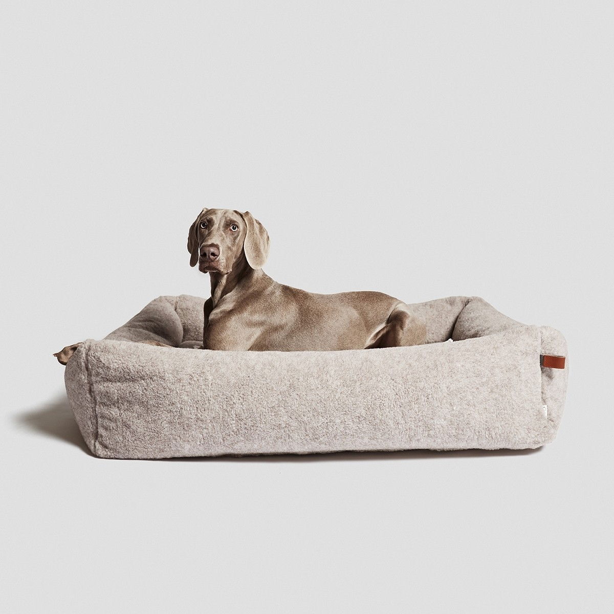Cloud7 Dog bed sleepy Delxue Teddy