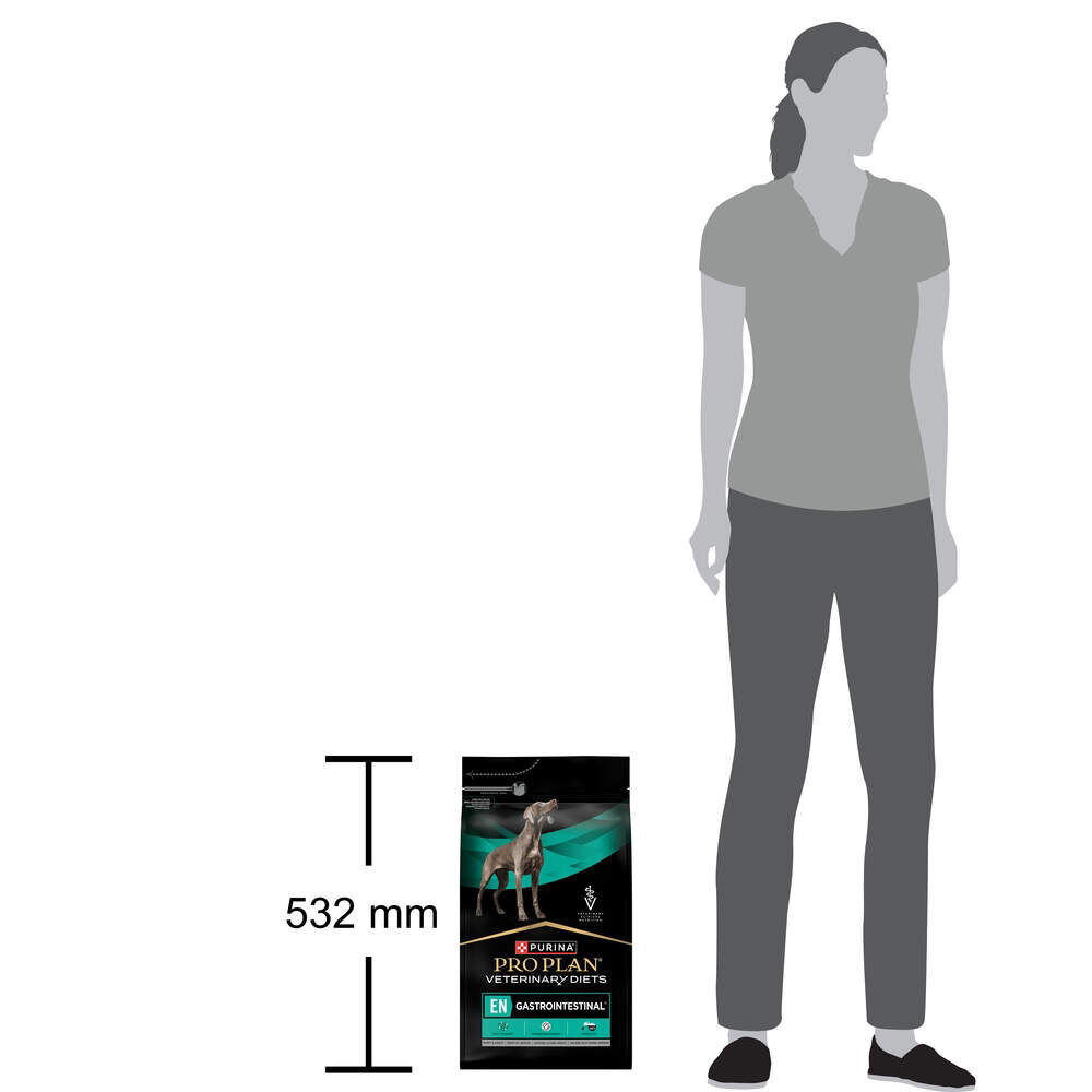 PP VD Dog EN Gastrointestinal
