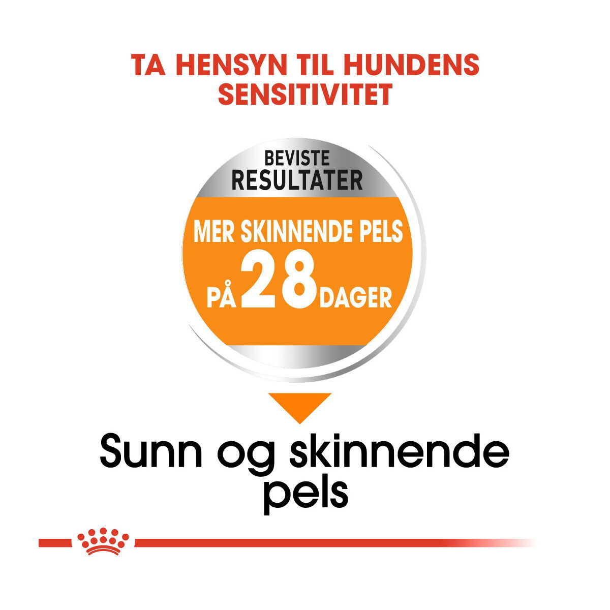 Royal Canin Coat Care Mini Adult tørrfôr til hund