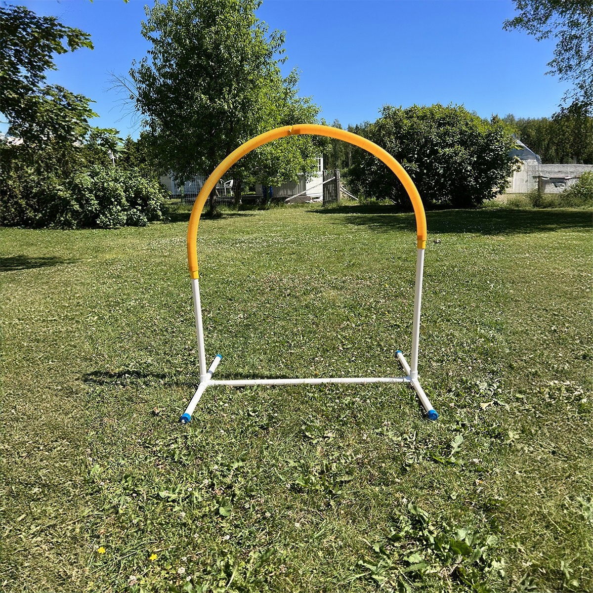 PetEasy Dog Hooper