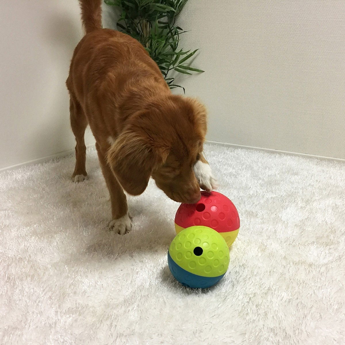 Nina Ottosson Treat Tumble Red