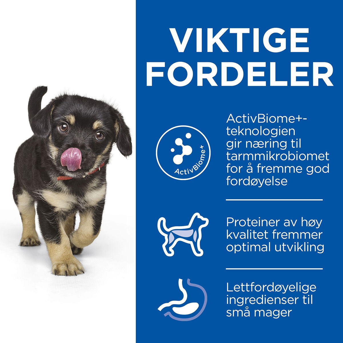 Hill's SP Puppy Perfect Digestion M Ch