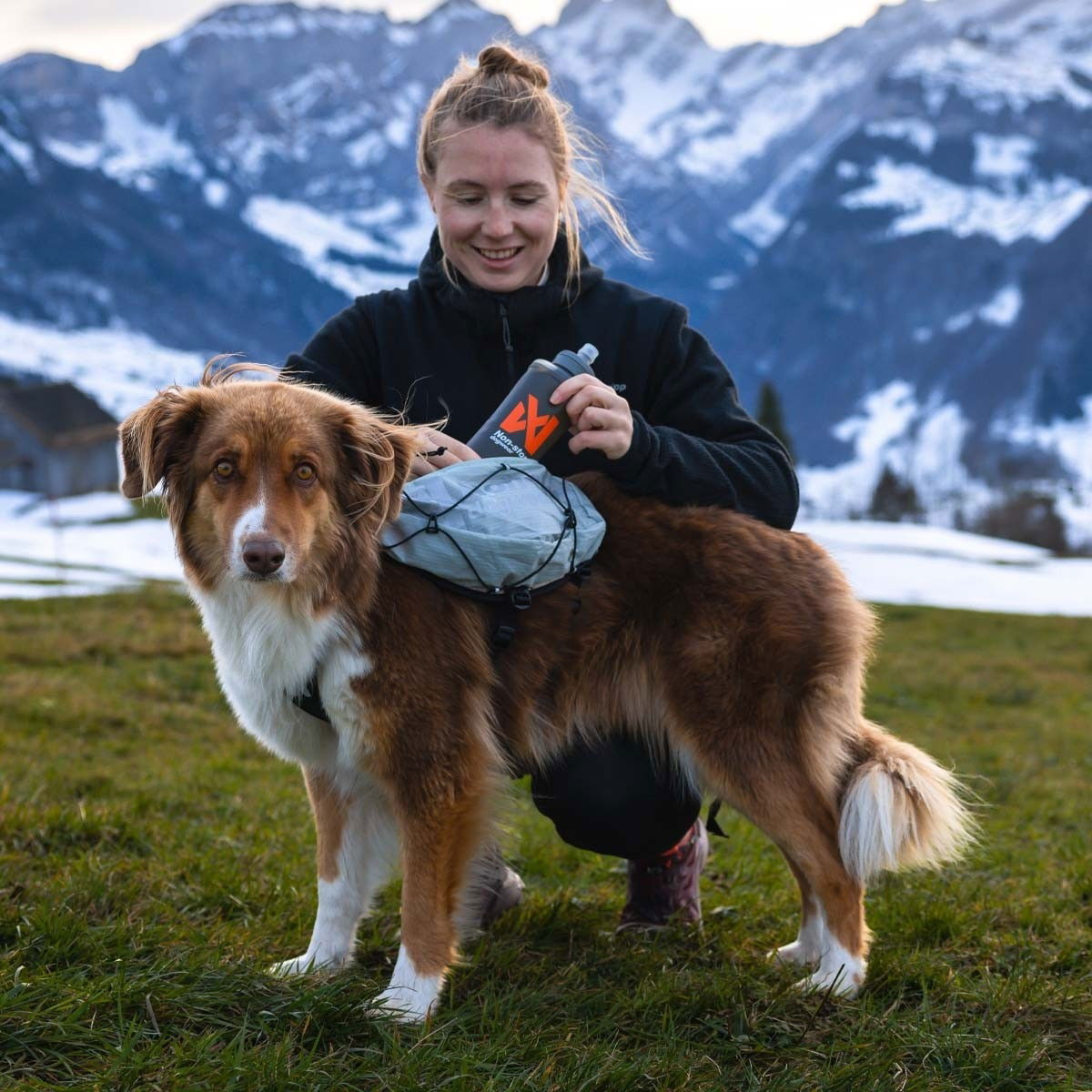 Non-Stop Trail Light dog backpack Glacier grey