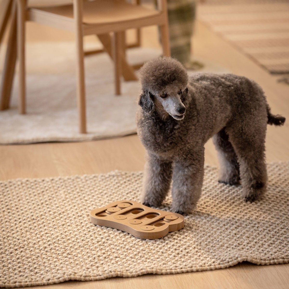 Little & Bigger Aktivitetsspill Shuffle Bone