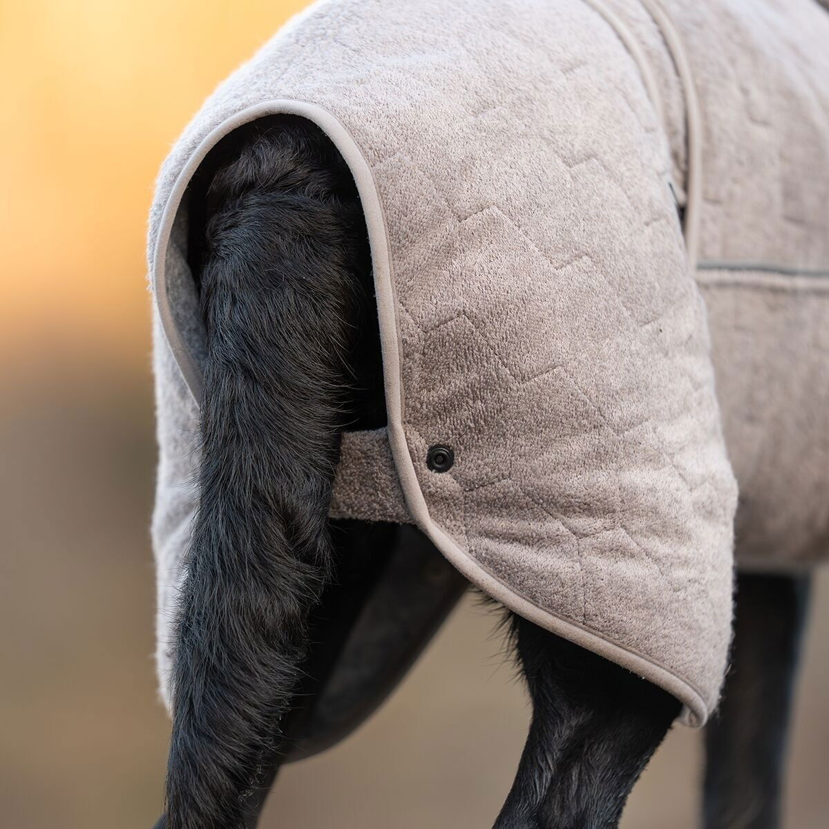 Non-stop dogwear Drying coat sand