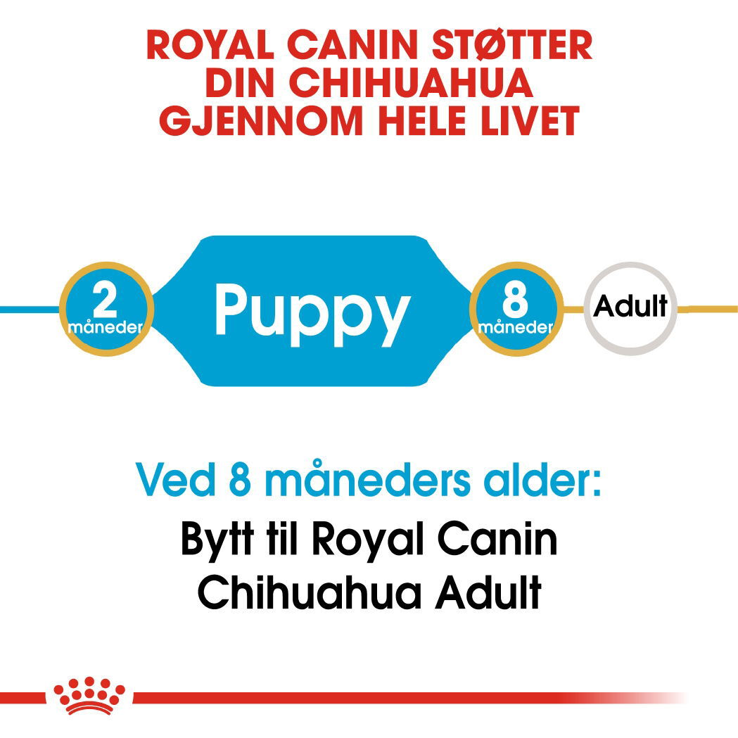 Royal Canin Chihuahua Puppy tørrfôr til hundvalp