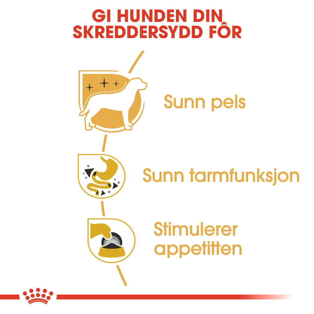 Royal Canin Chihuahua Adult Loaf våtfôr til hund