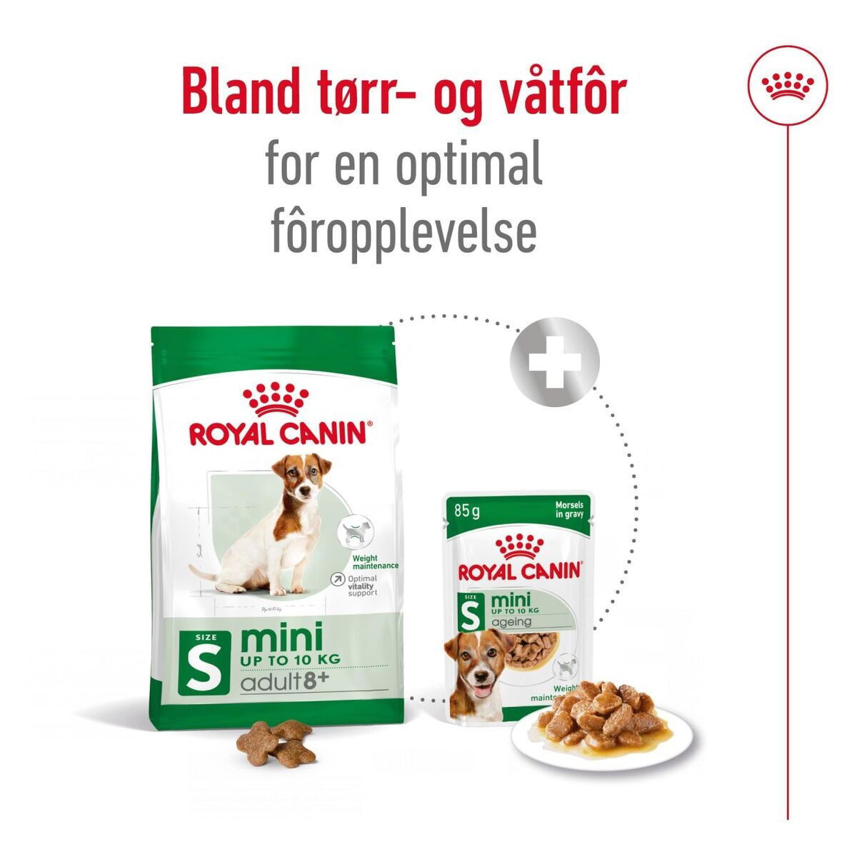 Royal Canin Mini Adult 8+ tørrfôr til hund