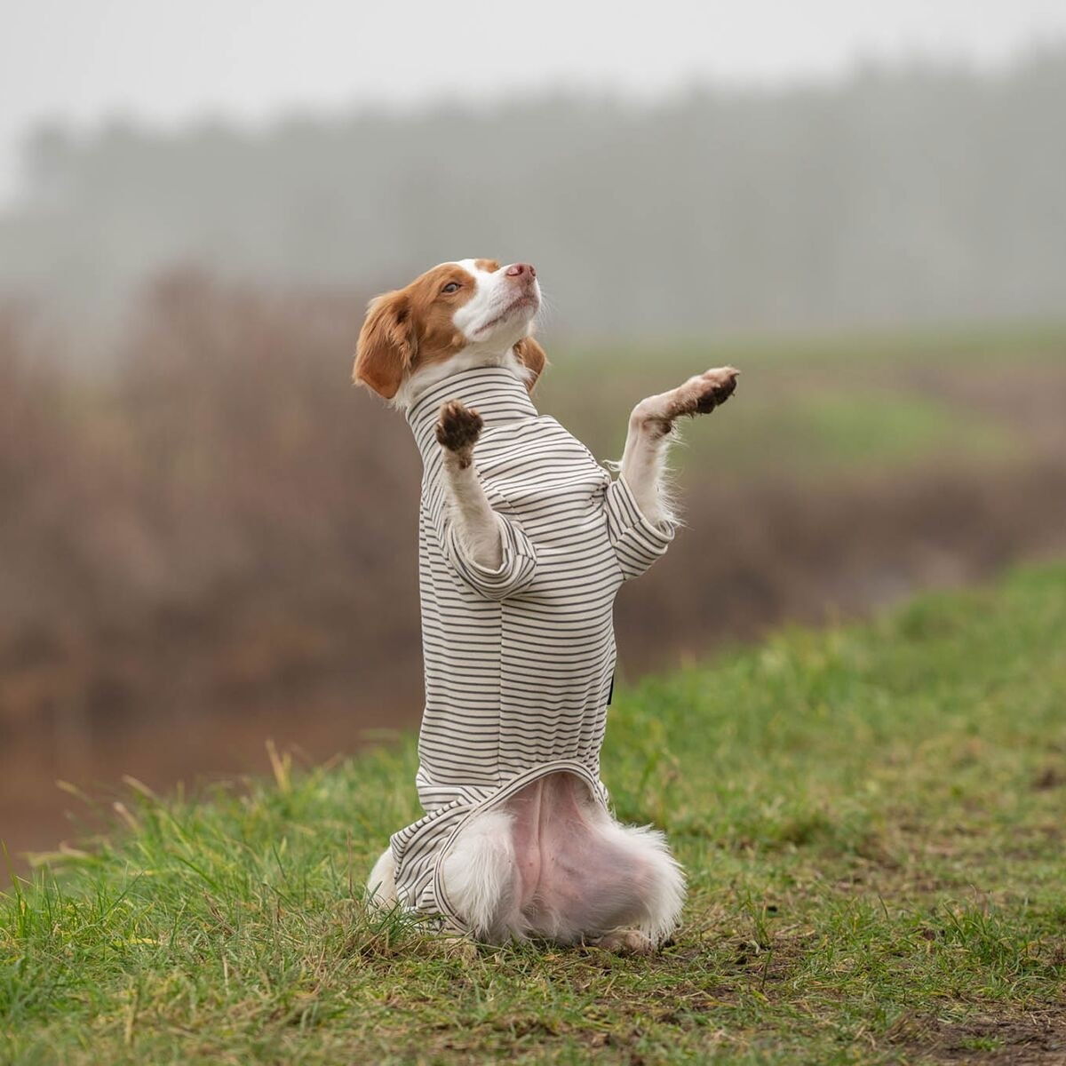 51 Degrees North Sweet dreams PJ, grey stripes