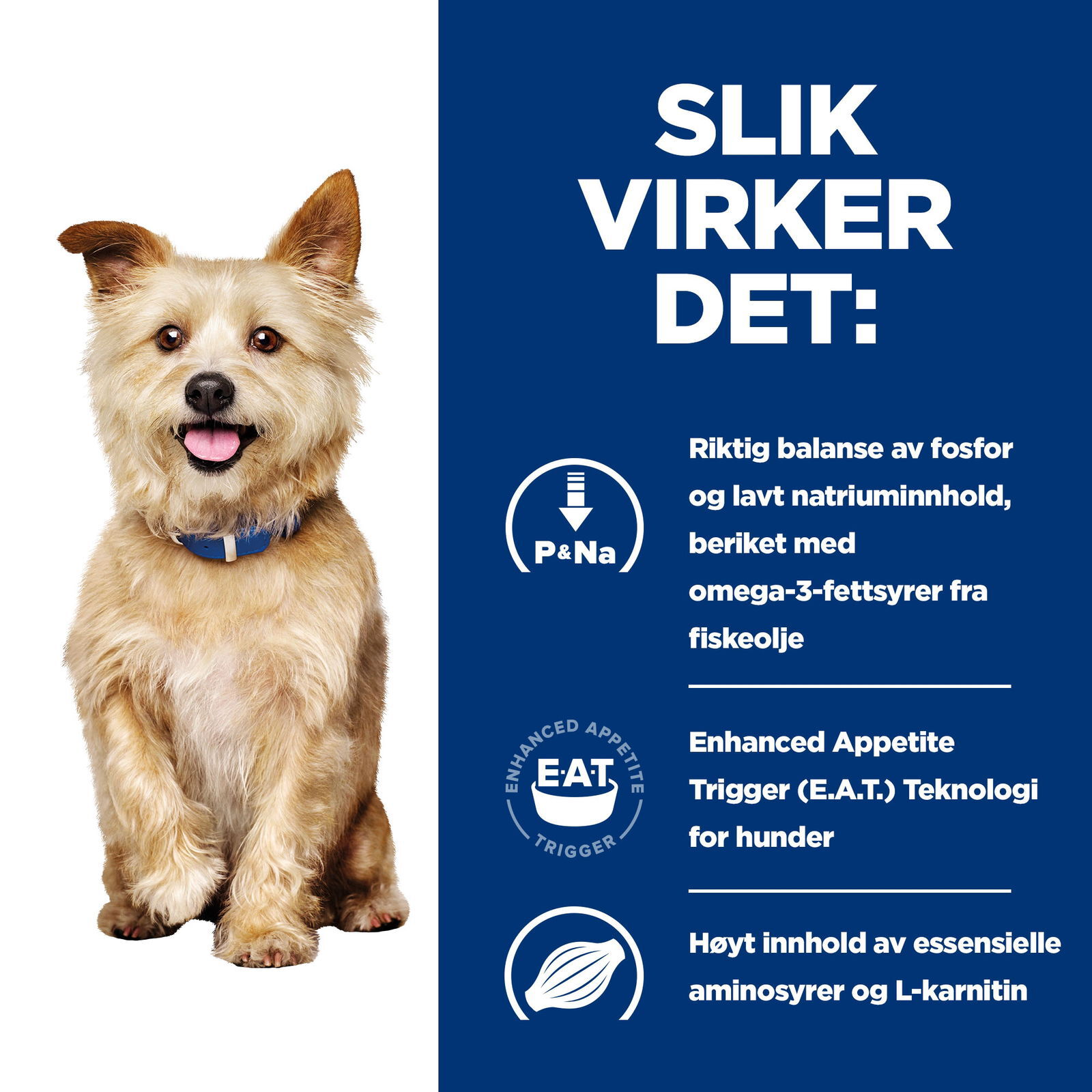 Hills Diet Dog k/d 2kg