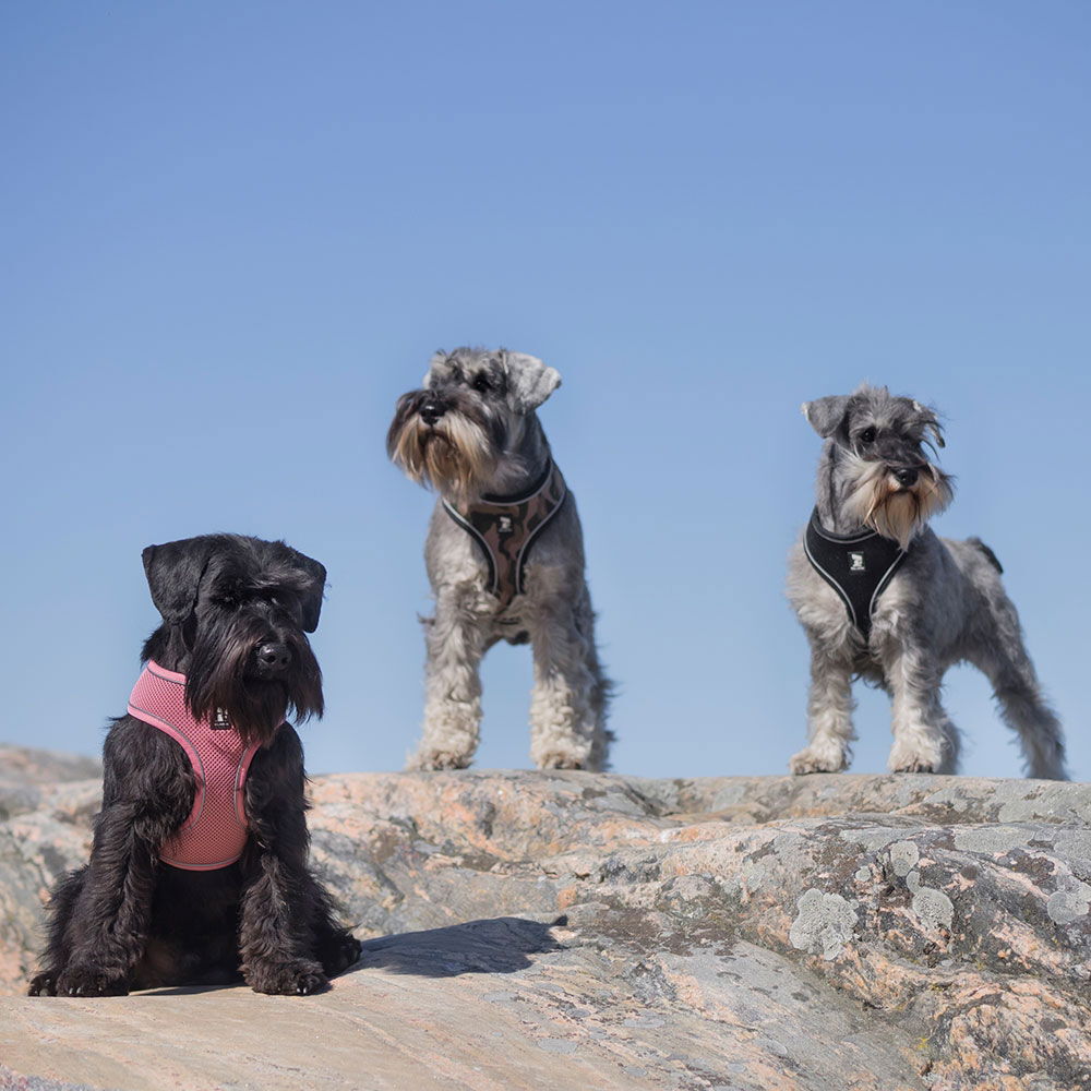 Feel Active Soft Sele Svart