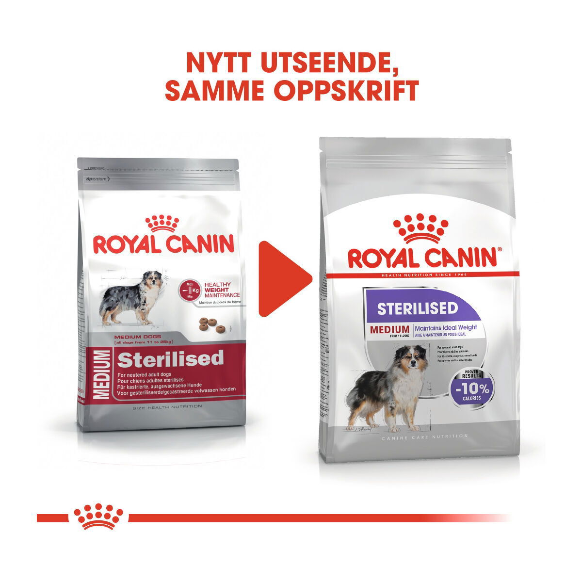 Royal Canin Sterilised Medium Adult tørrfôr til hund