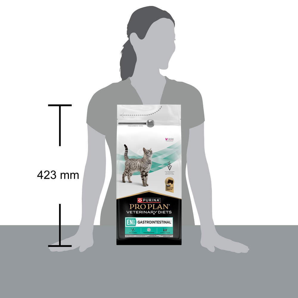 PP VD Cat EN Ganstrointestinal