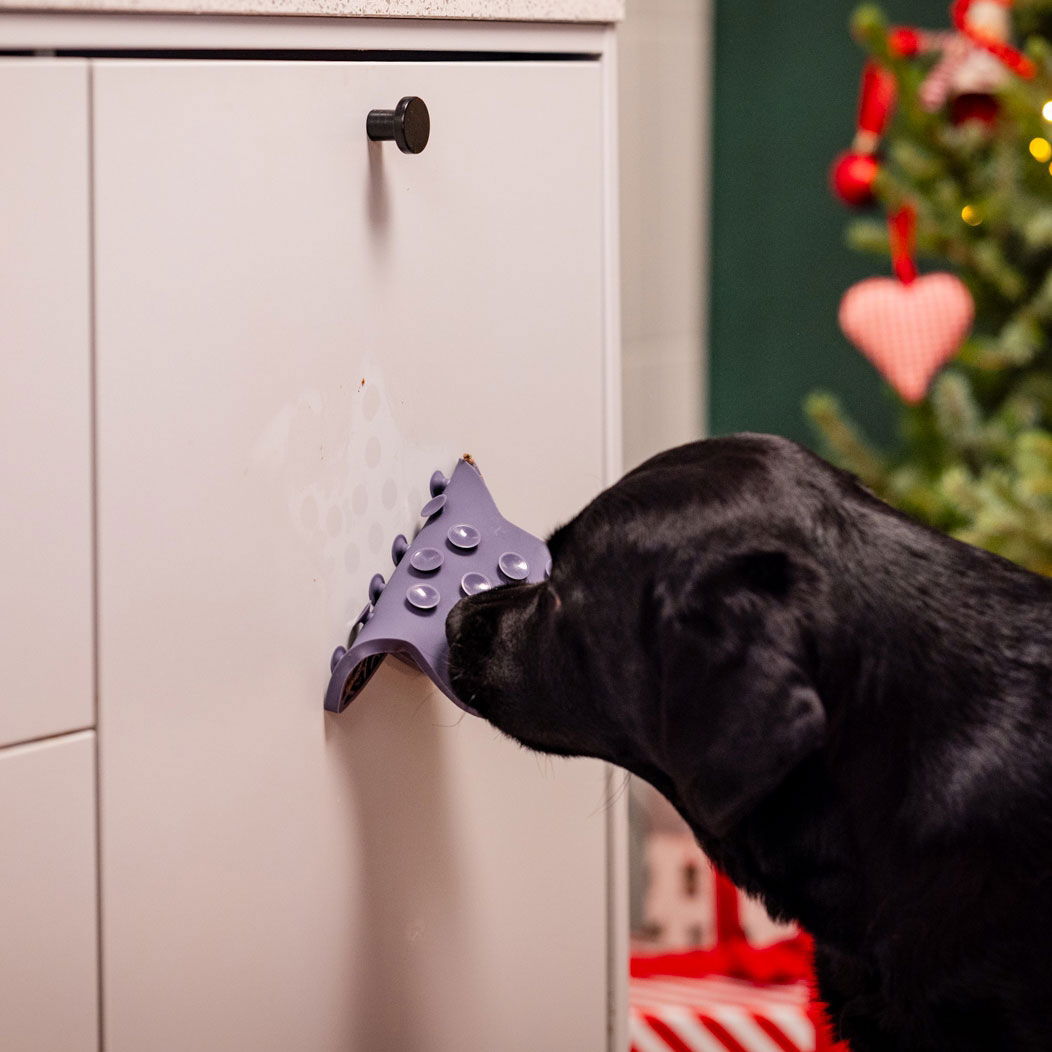 Little&Bigger Yummy mat star