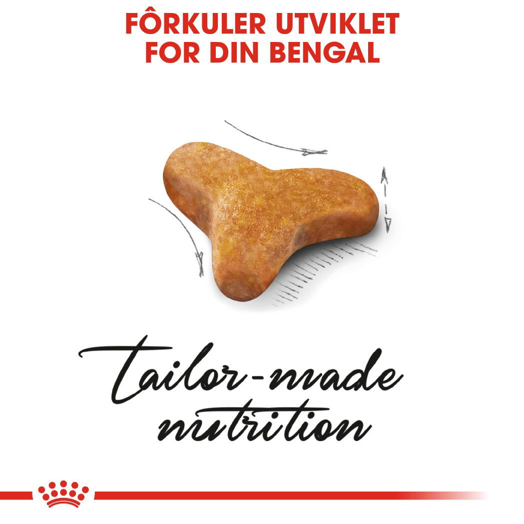 Royal Canin Bengal Adult tørrfôr til katt