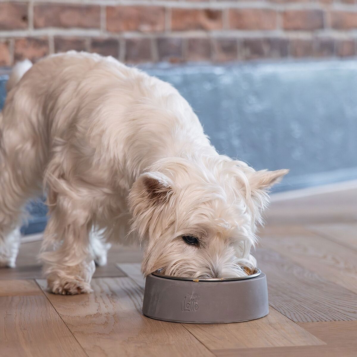 Designed by Lotte concrete bowl ribocco