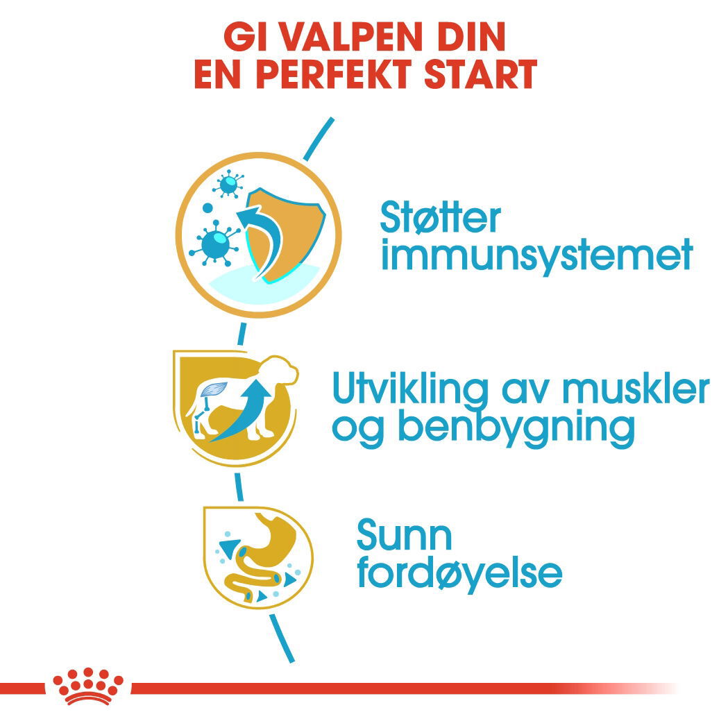 Royal Canin Rottweiler Puppy tørrfôr til hundvalp