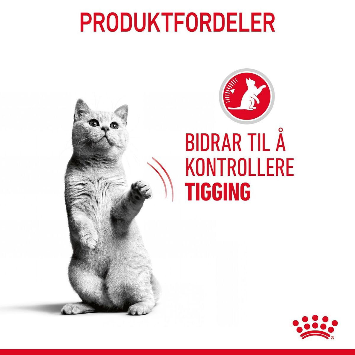 Royal Canin Appetite Control Care Gravy Adult våtfôr til katt