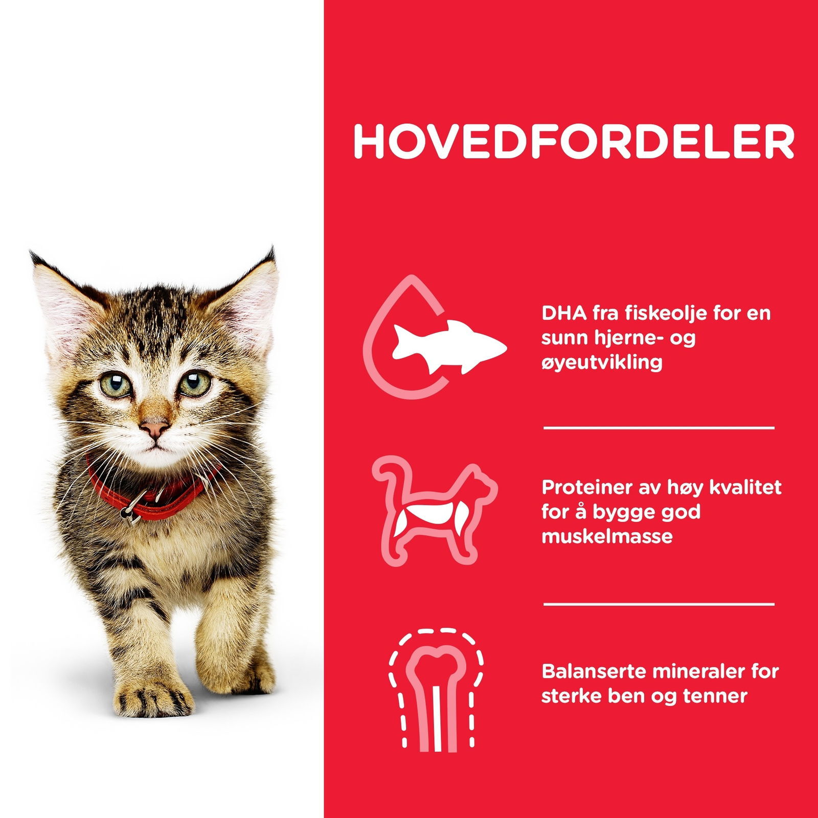 Hill's Science Plan Kitten Tuna 