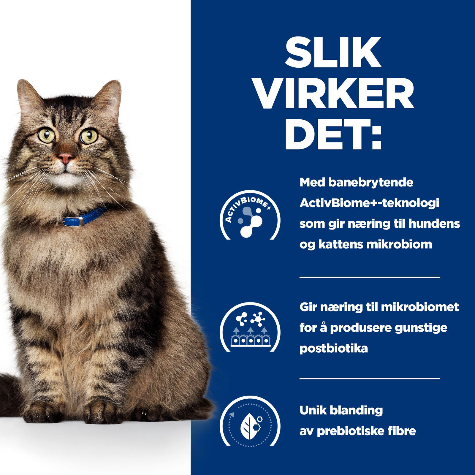 Hill's PD Feline Gastro Biome Chicken