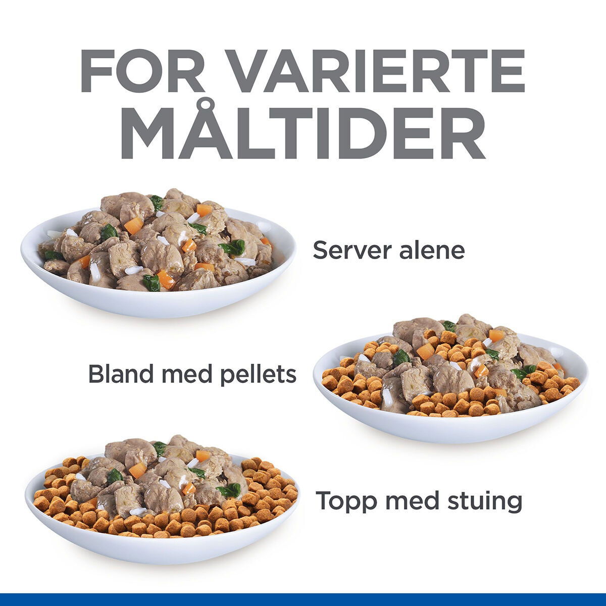 Hill's SP Cat Adult Healthy Cuisine Stews Ch/Sa 12x80g