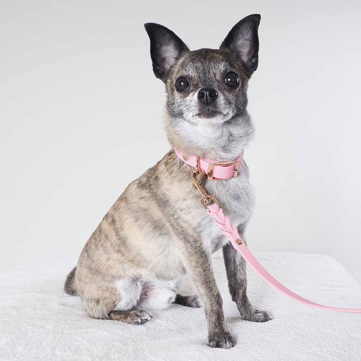 Tyylivoitto Classy narrow collar, light pink