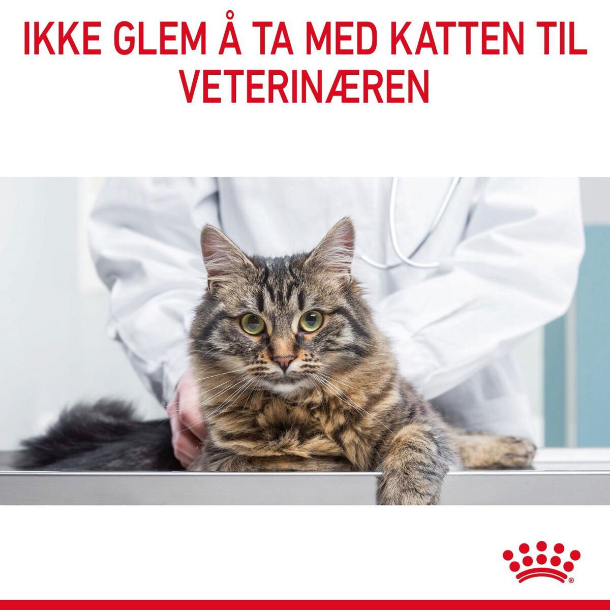 Royal Canin Light Weight Care Adult tørrfôr til katt