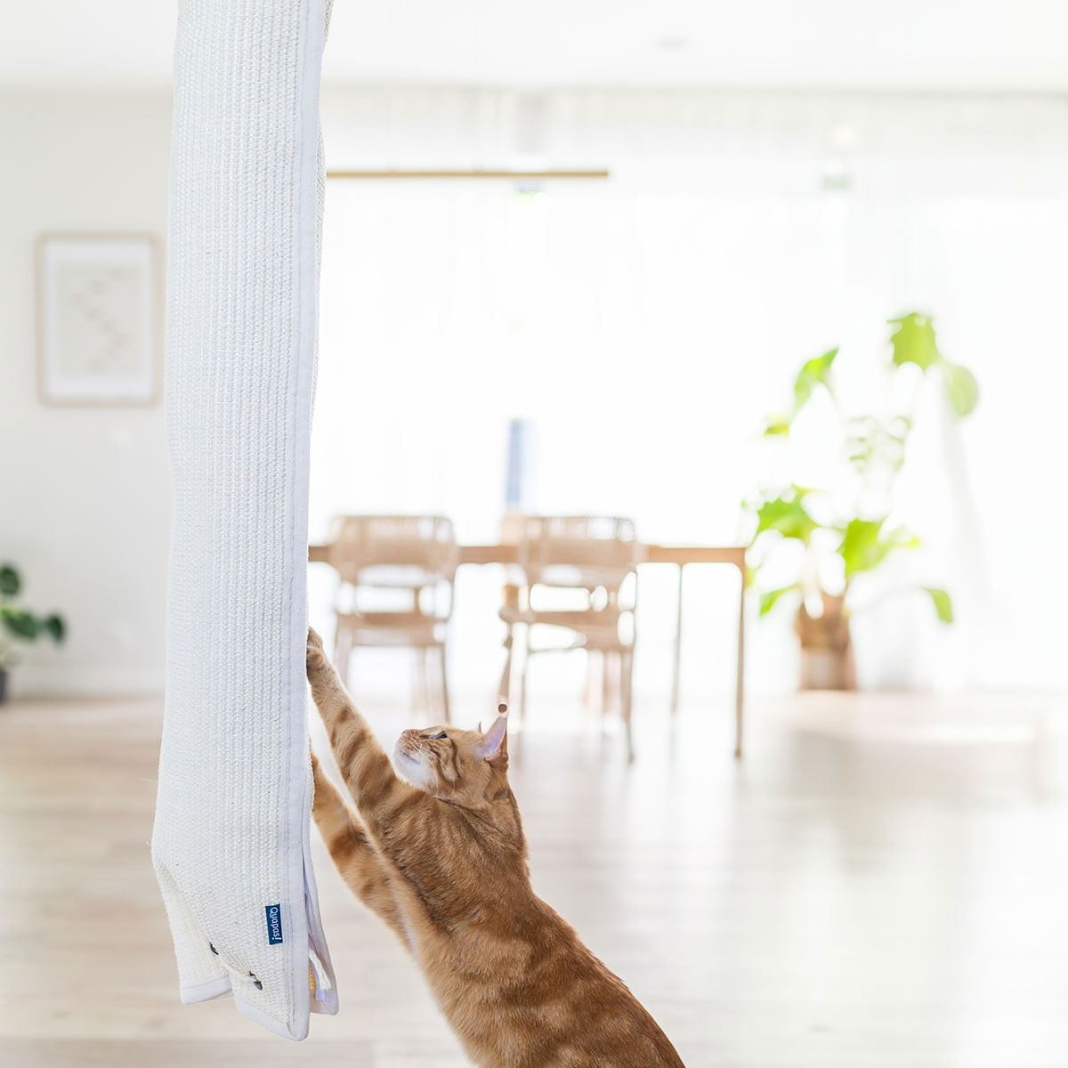 Quapas! Wall platform with climbing bag 150cm, grey