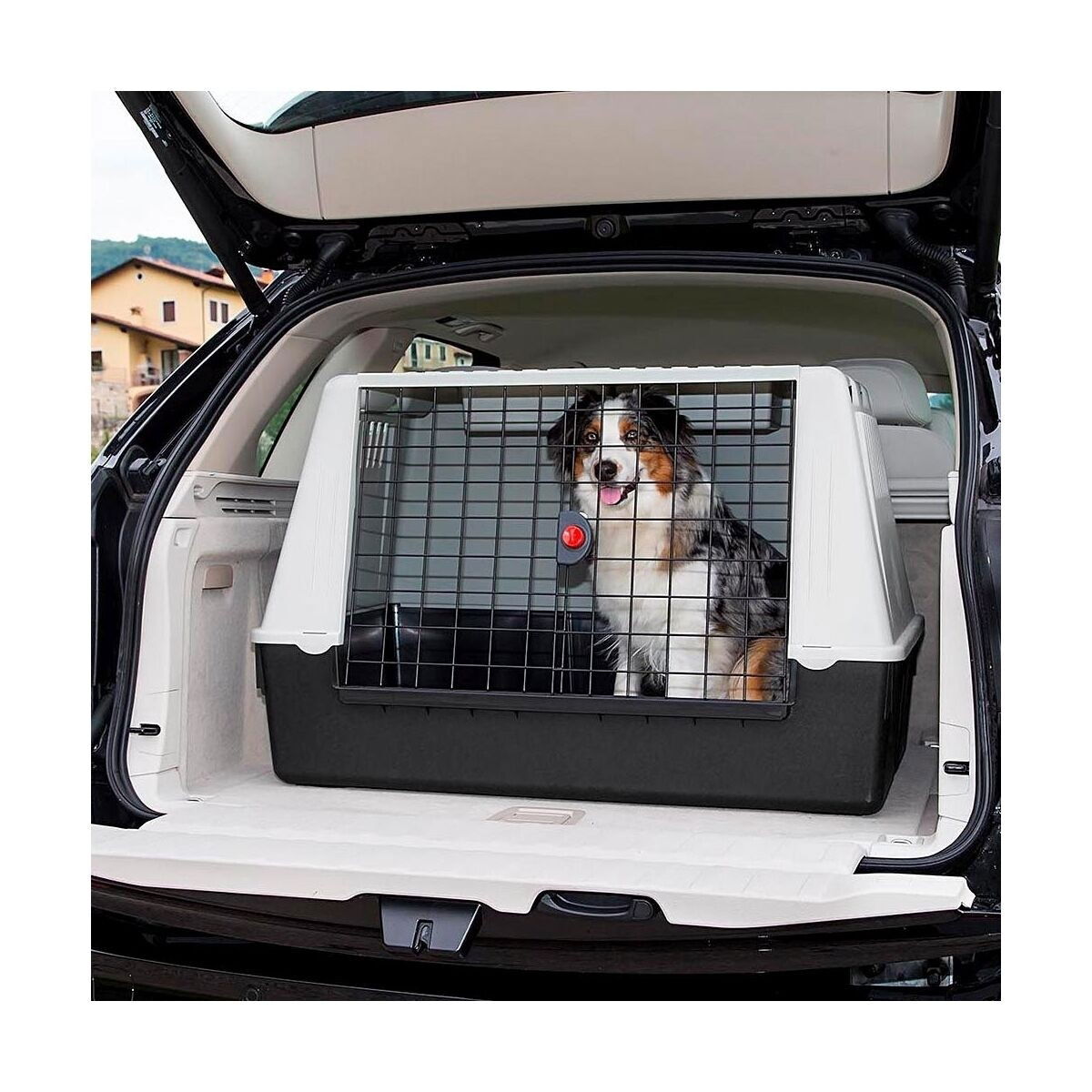 Transportbur til bil Atlas