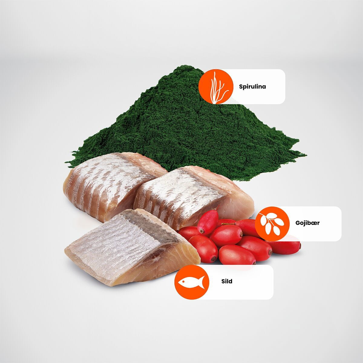 N&D Cat Spirulina&Herring Kitten 1,5kg