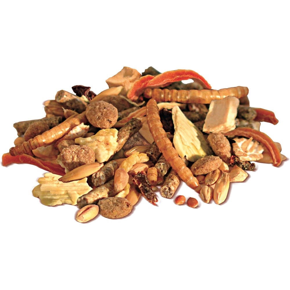 Bunny HamsterDream Basic