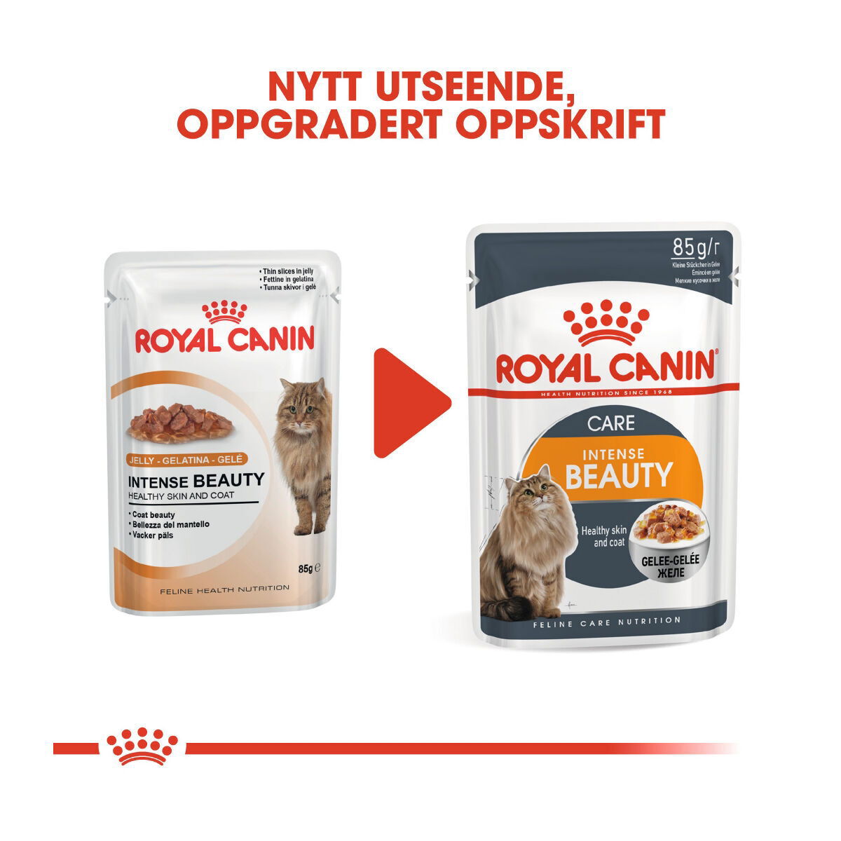 Royal Canin Hair & Skin Care Jelly Adult våtfôr til katt
